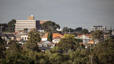 'Win-win': quick fix to stamp out AI-fuelled loan fraud