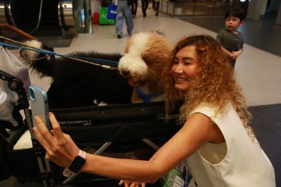 Pet ownership creates a new economic opportunity