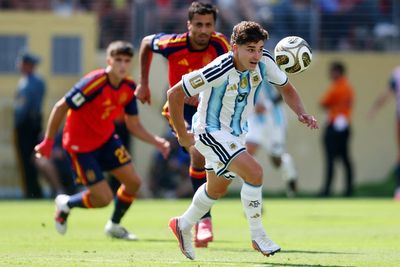 Viewers hit out at ‘bobbly and dry’ World Cup final pitch