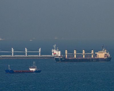 Ukraine war briefing: Russia behind deadly strike on cargo ship, says Ukraine, as Putin thanks North Korea
