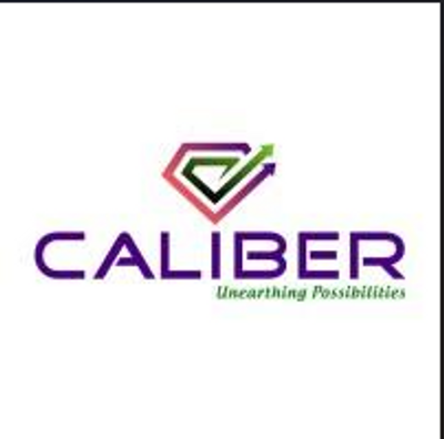 Caliber Mining & Logistics IPO Day 2: Issue gets 7.5x subscription so far; GMP points to 27% listing upside