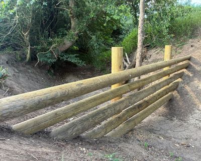 Country diary: Beaver-style flood defences take root amid a hosepipe ban