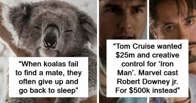 79 Of The Most Interesting Facts You Will Likely End Up Thinking About For Days