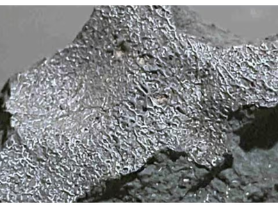 New Jersey meteorite that crashed through a family's roof turns out to be one of America's most important space rocks; Scientists discover building blocks of life inside
