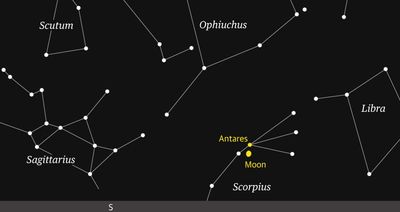 Starwatch: Identifying the Scorpion, mythical adversary of Orion