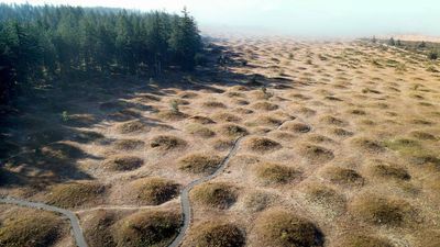 What created Washington's Mima Mounds: The ancient geological mystery that has left scientists searching for answers for more than 100 years