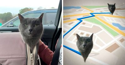 If You Need A Quick Laugh Today, These 66 Random Memes Are Exactly What You Should See