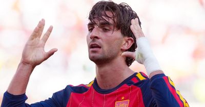 Spain 1-0 Argentina: Super-sub Torres the difference in sub-par World Cup final
