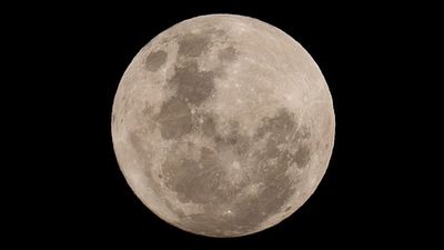 Unplanned impact: NASA says SpaceX rocket parts could hit Moon