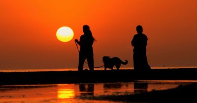 If You Can Name All 22 Characters From These Silhouettes, Your Movie & TV Knowledge Is Superb