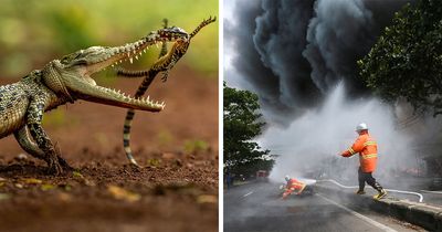 34 Incredible Images Featured By HIPA That Celebrate The Art Of Photography