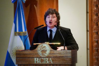 Milei declares public holiday for Argentina despite World Cup loss