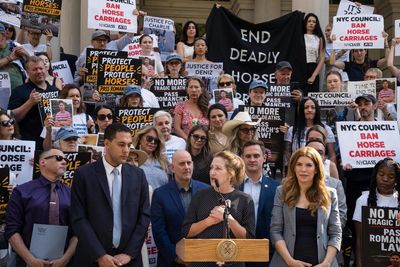 Who speaks for the horses? New push seeks to ban Central Park’s carriages