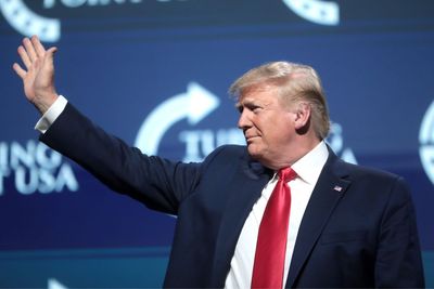 Trump Presidency Liability: How MAGA Influencers Are Derailing the House GOP Agenda