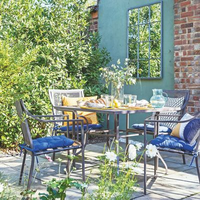 Sorry white vinegar, pest experts actually prefer this affordable and natural way to get rid of ants from patios