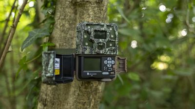 Browning Strike Force HD Pro X1080 review: a fantastic, no-frills trail camera for beginners