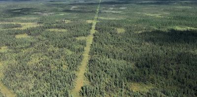 Industrial development is fragmenting Canada’s boreal forest. Governments should think carefully about future approvals