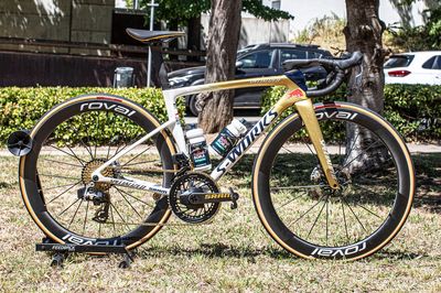 Golden paint and custom details: Remco Evenepoel's 7.05kg S-Works Tarmac SL9 for the Tour de France