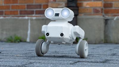 I can’t fly drones in NYC, so I let this camera robot follow me around instead and came away impressed