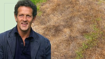 Monty Don warns against 'wasting water' on burnt grass during the hot weather this week