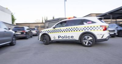 Witnesses report vehicle travelling at 'high speed' before it crashed into tree