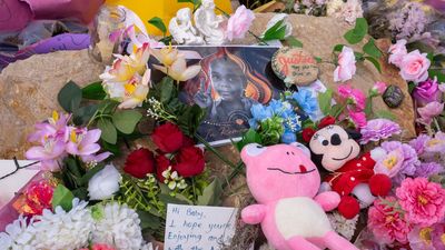 Damning report highlights red flags before girl's death