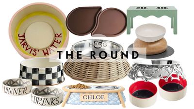 24 Stylish Dog Bowls and Dining Accessories for Pups – and Owners – With Great Taste