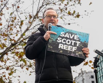 Climate and rock art advocates take on Woodside’s ‘carbon bomb’ WA gas project in federal court