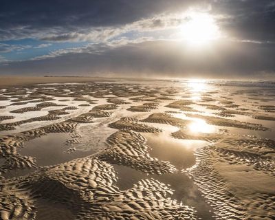 Exploring Germany’s East Frisian islands: mudflats, marshes and millions of birds