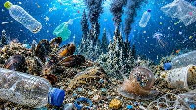 Scientists looked 2,000 metres below the ocean and found microplastics in 92% of deep-sea animals, revealing plastic has reached Earth's most remote ecosystems and could threaten marine food webs