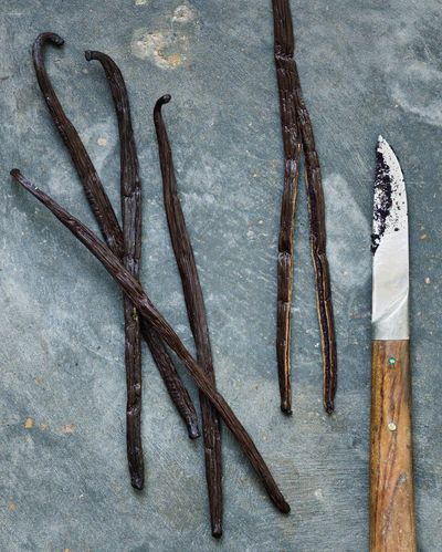 101 uses for an empty vanilla pod