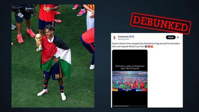 Fake images circulate of Spanish World Cup players draped in Palestinian flags