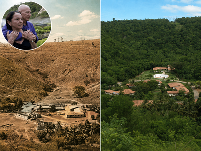 In 1998, a war photographer inherited a cattle ranch stripped of its rainforest; over the next 20 years, he and his wife planted 2 million trees by hand, brought back the dried-up springs, and turned it into a protected nature reserve