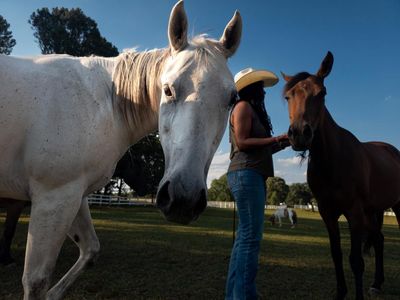 Black lands, Mexican bands: how a southern rural family built a Latino cultural hub