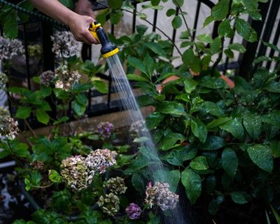 Thames Water joins hosepipe ban as England and Wales approach drought status