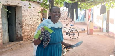 Tigray’s old grapevines have survived against the odds: new research uncovers their genetic and historic value