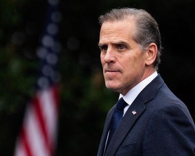 Hunter Biden for president? Stranger things have happened