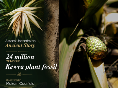 24-million-year-old Kewra fossil found in Assam: CM Sarma says it reveals how this fragrant screw-pine first reached the Indian subcontinent
