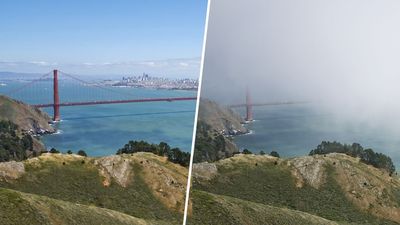 So you think you’re a good photographer? Adobe’s experimental camera app will have something to say about that!