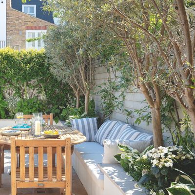 7 low-maintenance multi-stem trees that will create a fabulous focal point in any small garden
