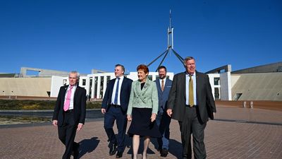 Hanson blasted for 'atrocious' family violence comment