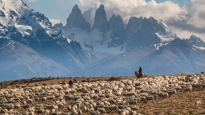 More than mountains: the human story of Chilean Patagonia told through these award-winning photos