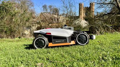 5 questions to ask before choosing a robot lawn mower, according to a lawnbot exec