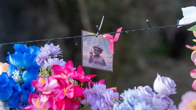 'Viscerally sick': child protection reforms under fire