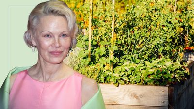 Pamela Anderson's garden isn't what you'd expect – one surprising feature completely steals the show