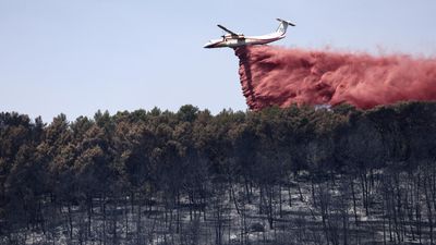 Wildfire in southern France 'contained' after hundreds evacuated from homes