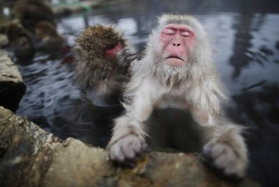 Japan sizzles in first 'brutally hot' days of the year