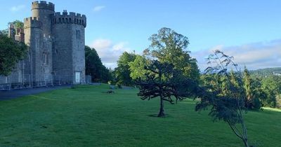 Two Scottish nominations shortlisted for Tree of the Year
