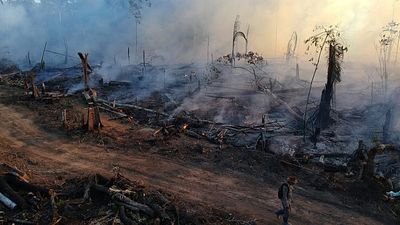 Amazon forest fires fell to all-time low in 2025 but could a super El Niño halt progress?