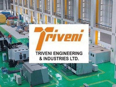 Triveni Engineering shares adjust 38.5% as stock turns ex-demerger. What lies ahead for 95,000 shareholders
